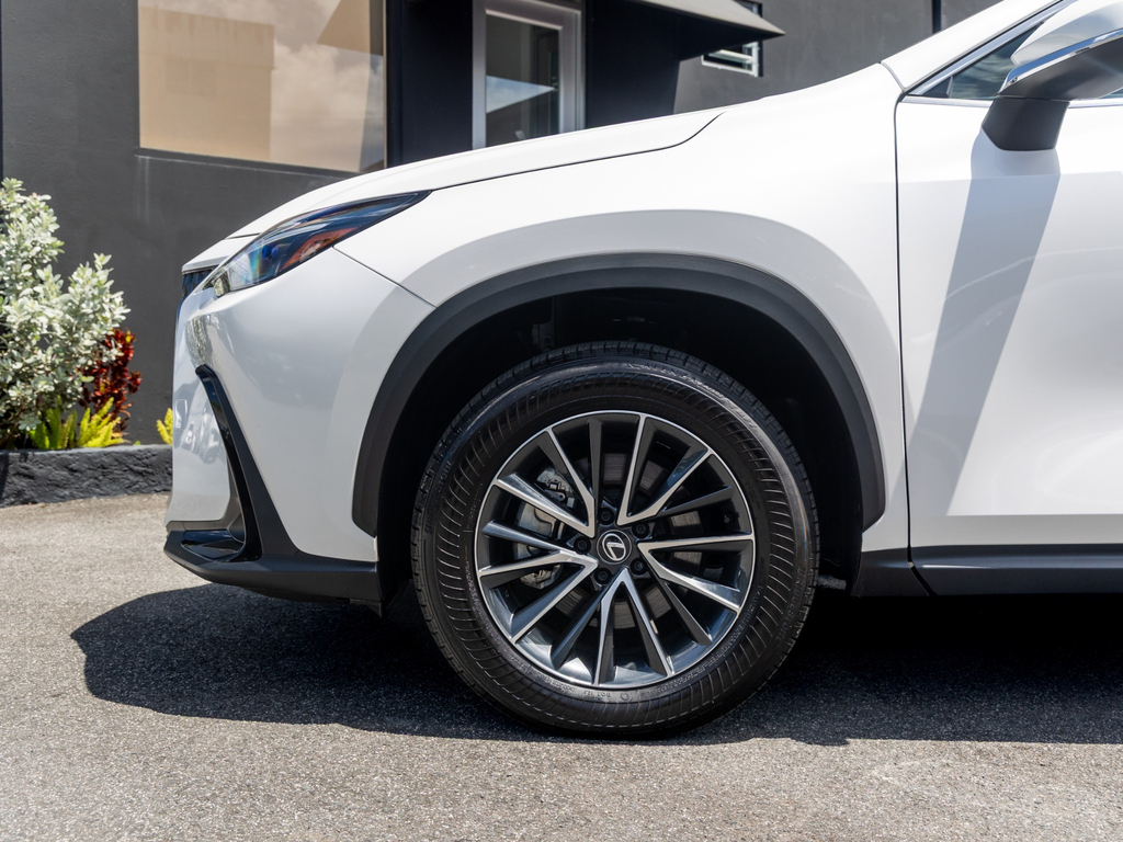 Used Car 2025 Lexus Nx  For Sale Under $70,000 In San Juan, Puerto Rico