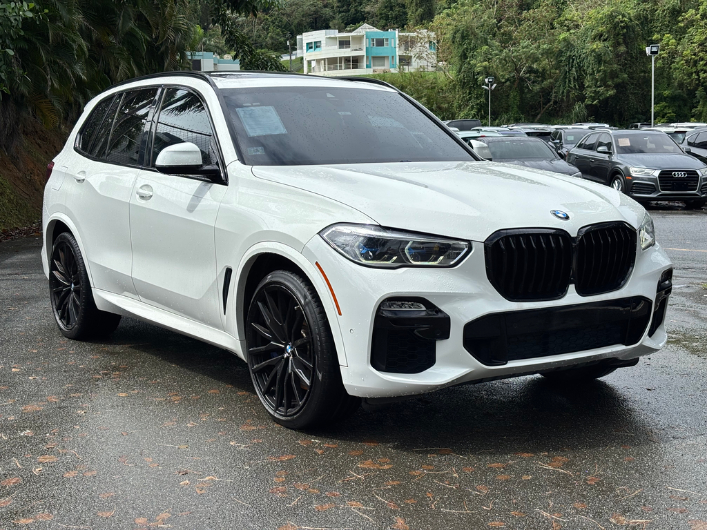 2019 BMW X5 xDrive40i's photo
