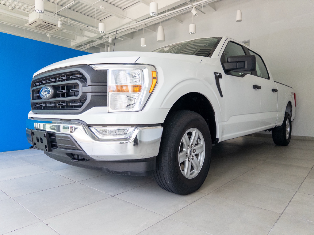 2022 Ford F-150's photo