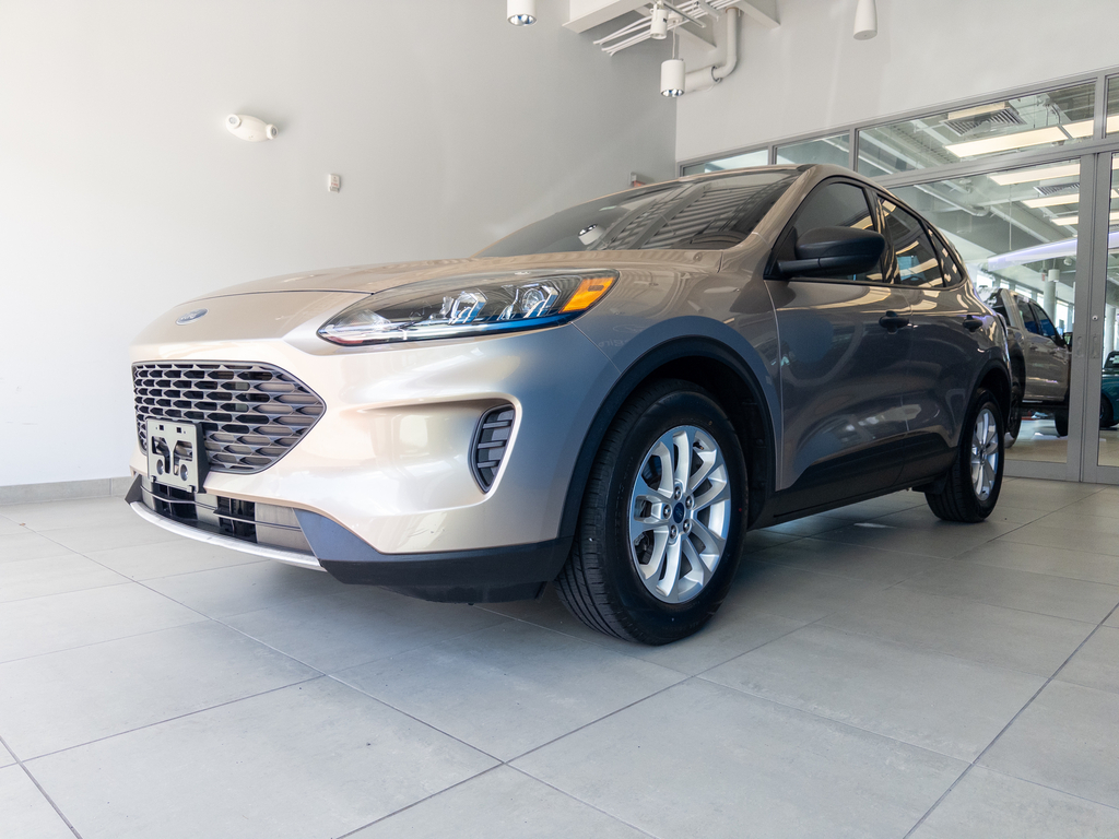 2020 Ford Escape S FWD's photo