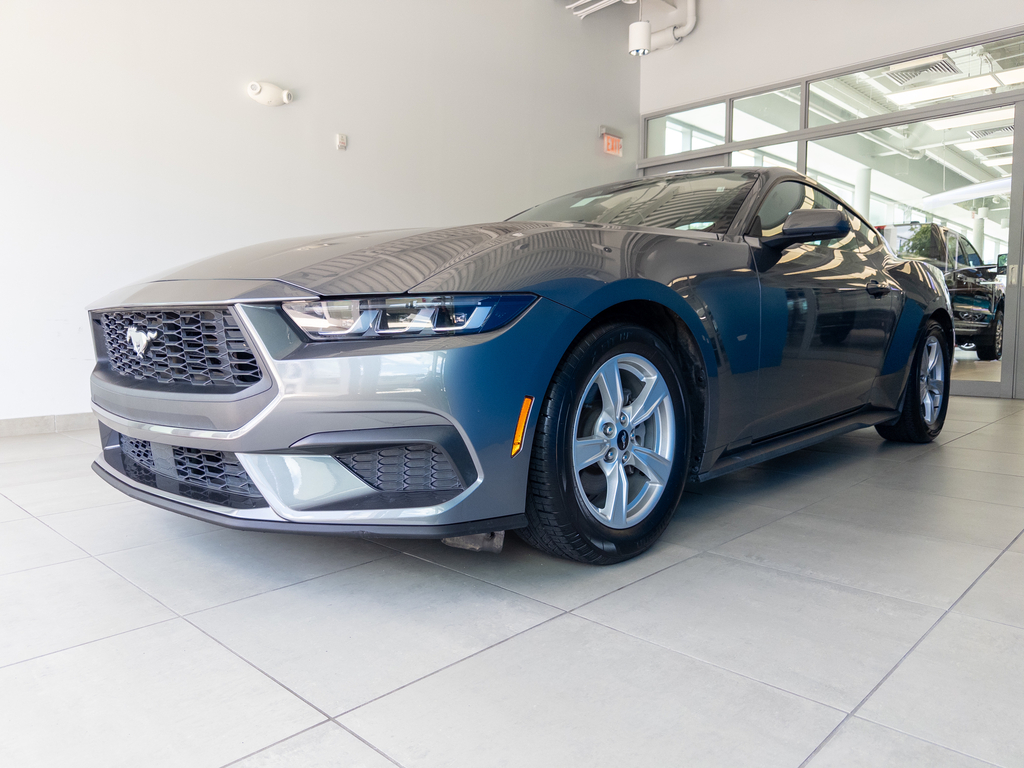 2024 Ford Mustang EcoBoost Fastback's photo
