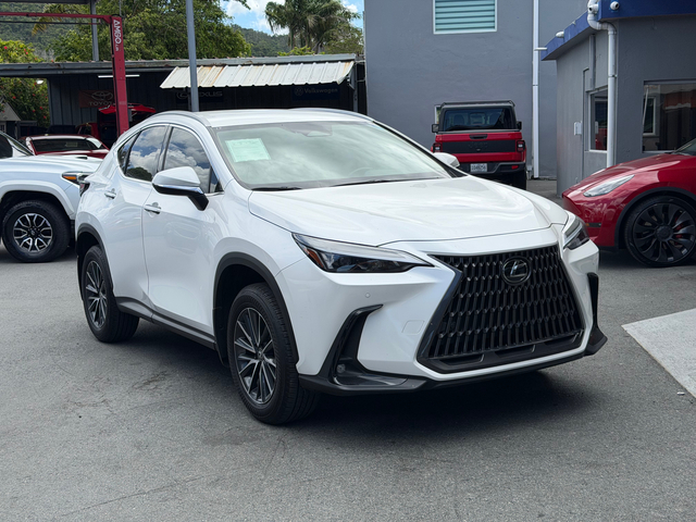 2025 Lexus NX NX 250