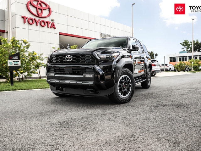 Toyota 4Runner TRD OffRoad (Black)