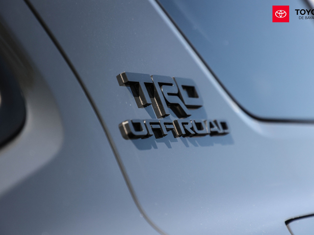 Toyota 4Runner TRD Off Road (Dark Gray)