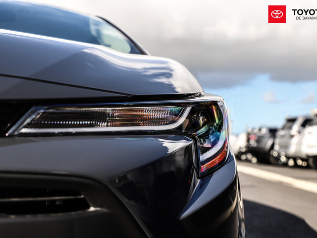 Toyota Corolla LE (Dark Gray)