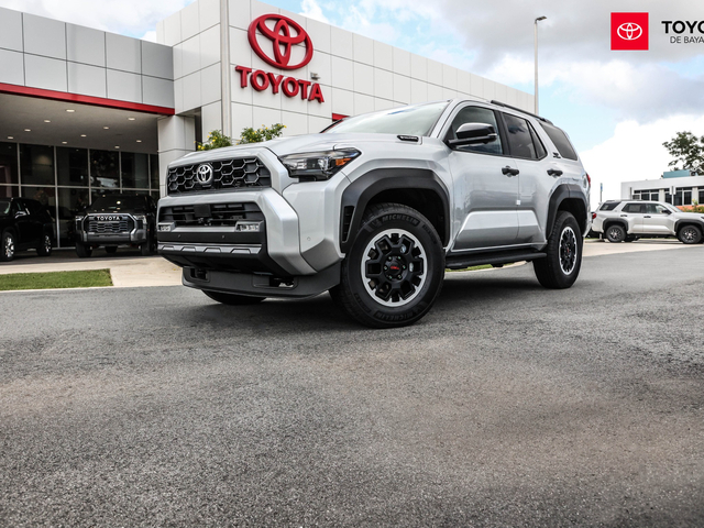 Toyota 4Runner TRD Off Road (Silver Metallic)