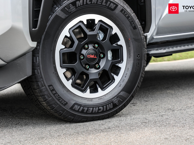 Toyota 4Runner TRD Off Road (Silver Metallic)