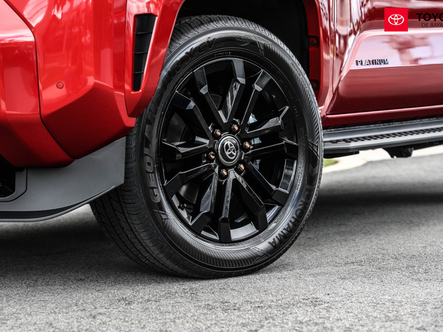 Toyota 4Runner Platinum (Emotional Red)