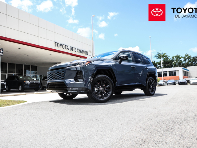 Toyota RAV4 SE (Massive Gray)