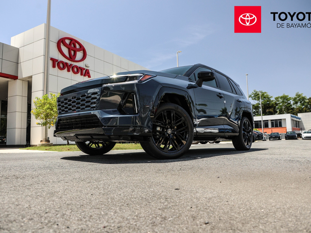 Toyota RAV4 XSE (Storm Cloud)