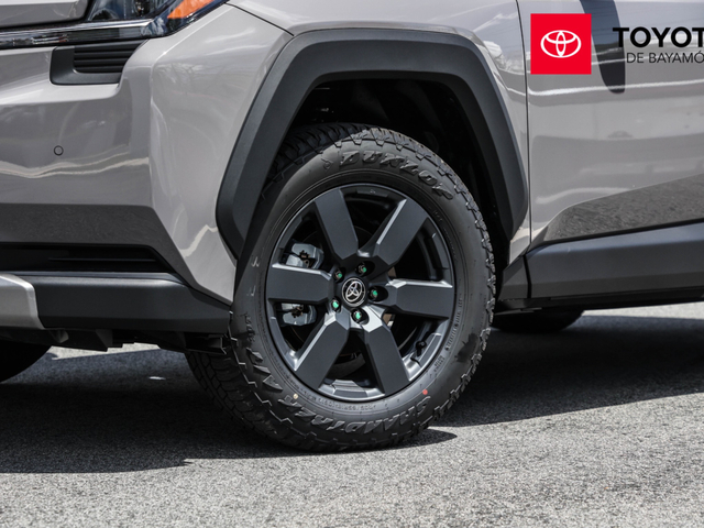 Toyota Rav4 Woodland (Urban Rock)