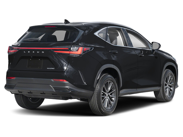 2025 Lexus NX NX 250 Premium