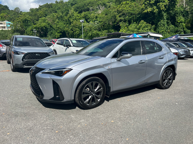 2025 Lexus UX UX 300h