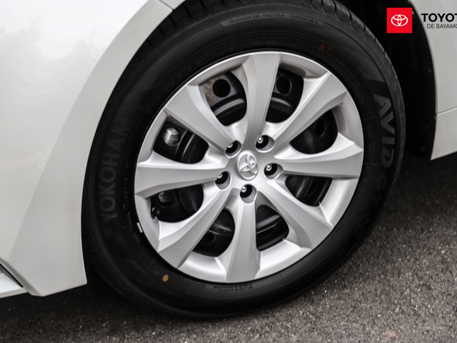 Toyota Corolla LE (White)