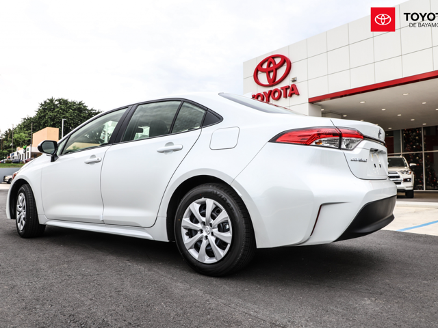 Toyota Corolla LE (White)