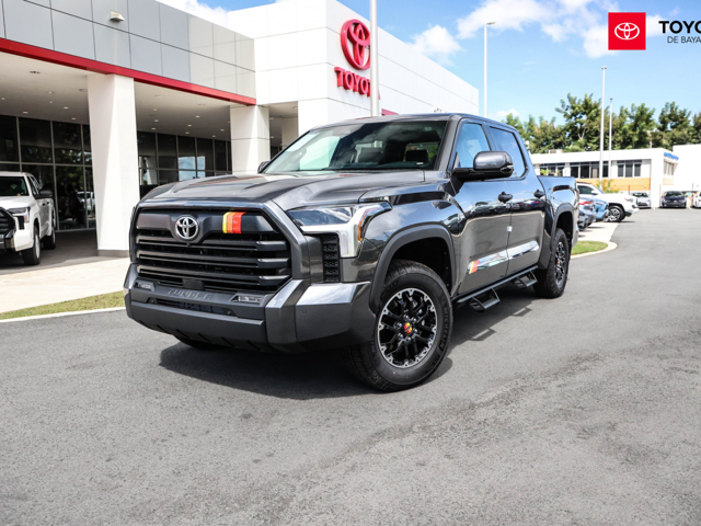 Toyota Tundra TRD Rally Pkg (Gray)