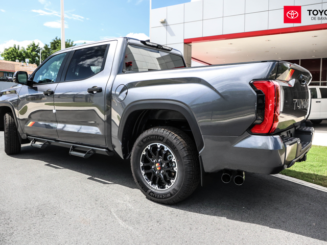 Toyota Tundra TRD Rally Pkg (Gray)