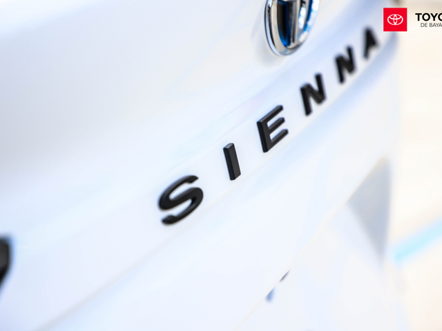 Toyota Sienna LE (White)
