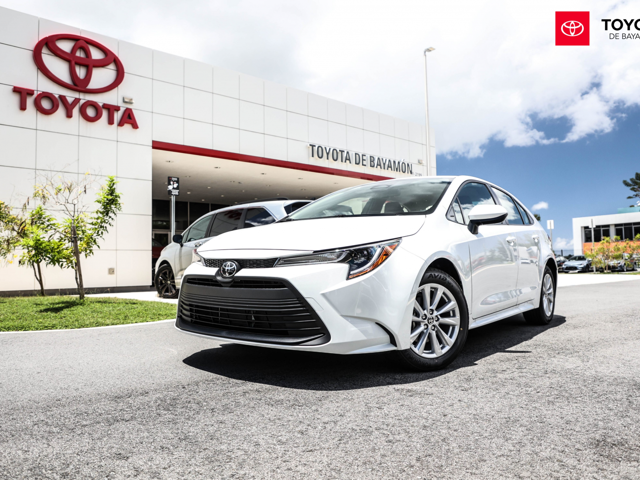 Toyota Corolla LE (White)