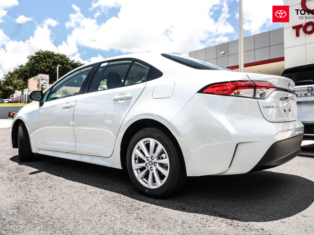 Toyota Corolla LE (White)
