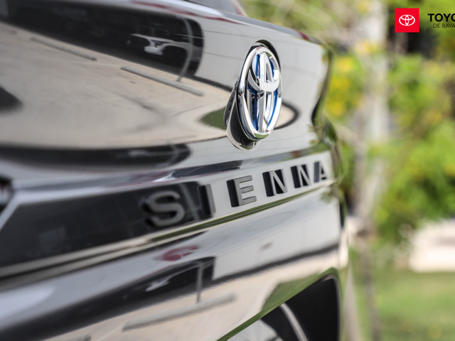 Toyota Sienna LE (Charcoal Gray)