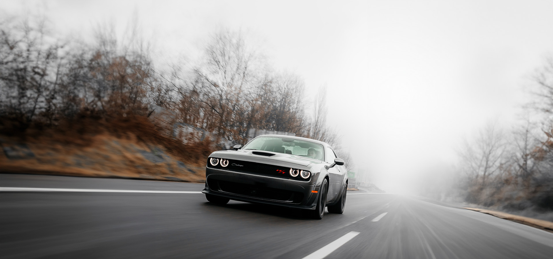 El catálogo más extenso del mercado