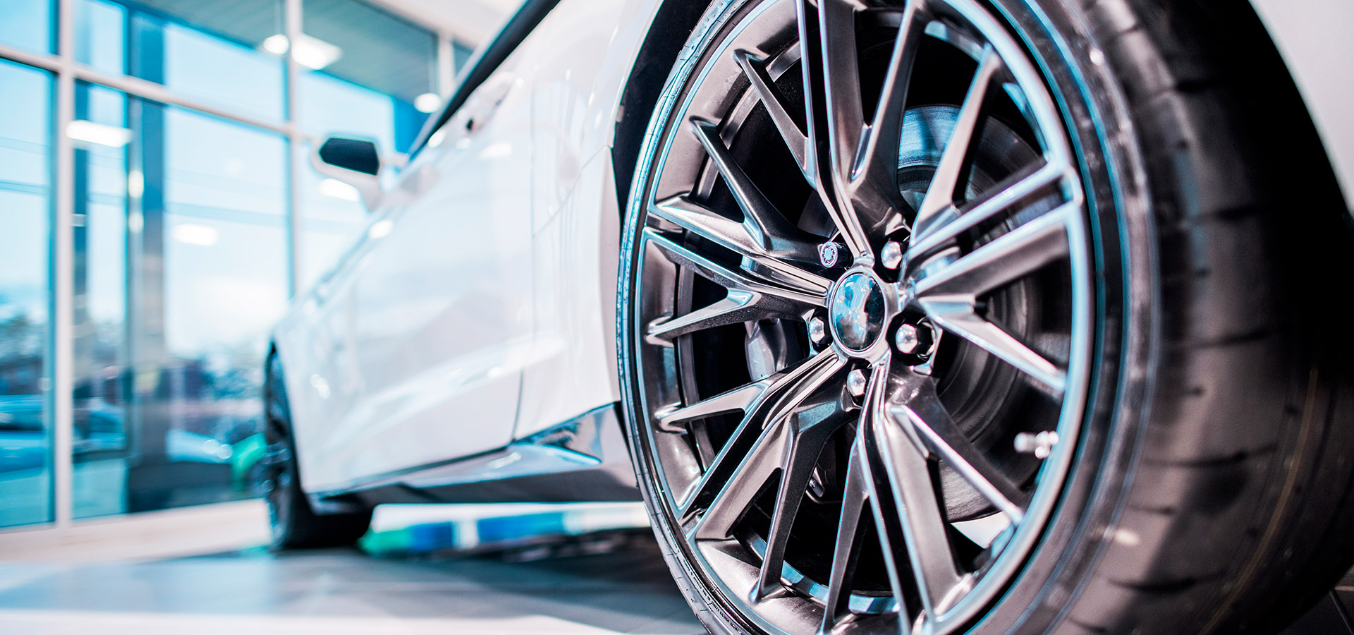 Inicio Cecilio Gonzalez + Caguax Auto