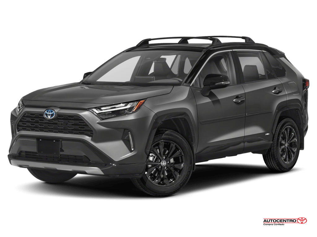 2022 Toyota RAV4's photo