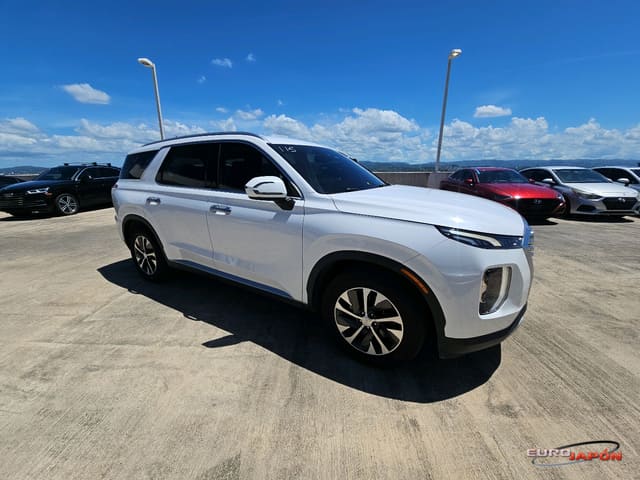 Hyundai Palisade Oferta Especial