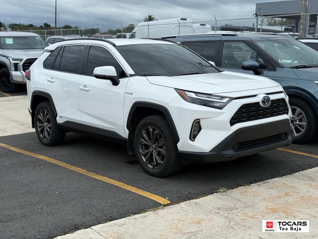 2024 Toyota RAV4