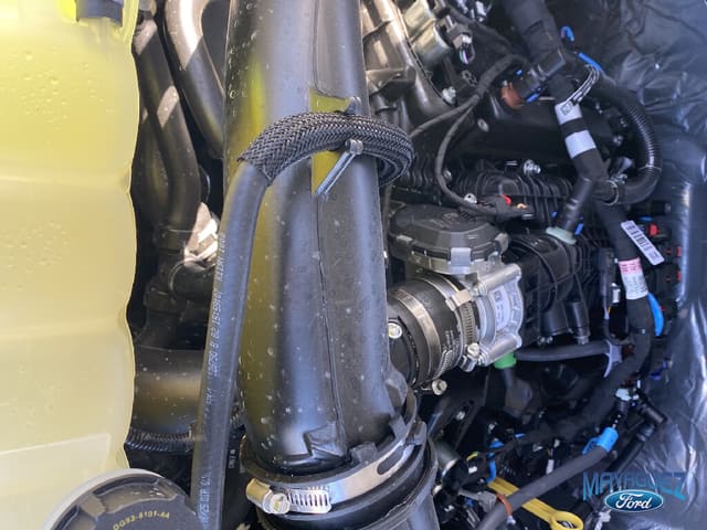 Ford F-150 STX 2025