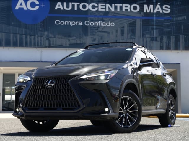 Lexus NX Premium 2024