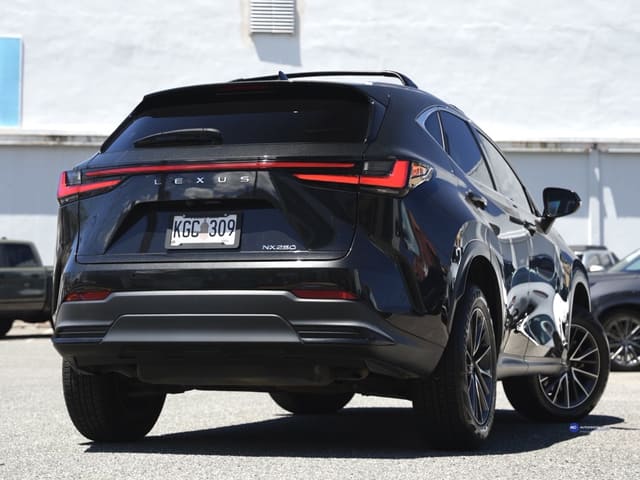 Lexus NX Premium 2024
