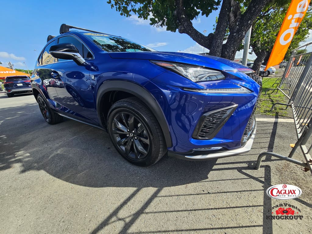 2021 Lexus NX 300 F SPORT's photo