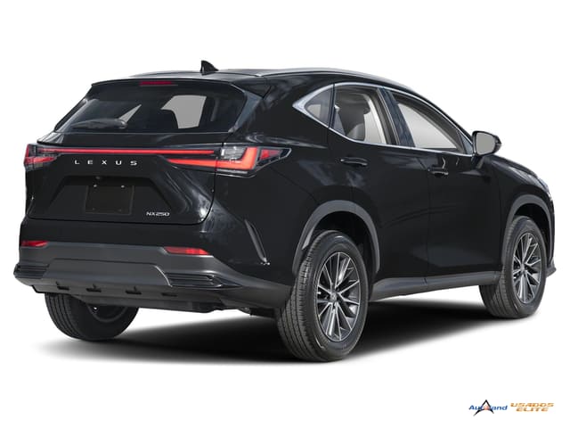 2025 Lexus NX NX 250 Premium