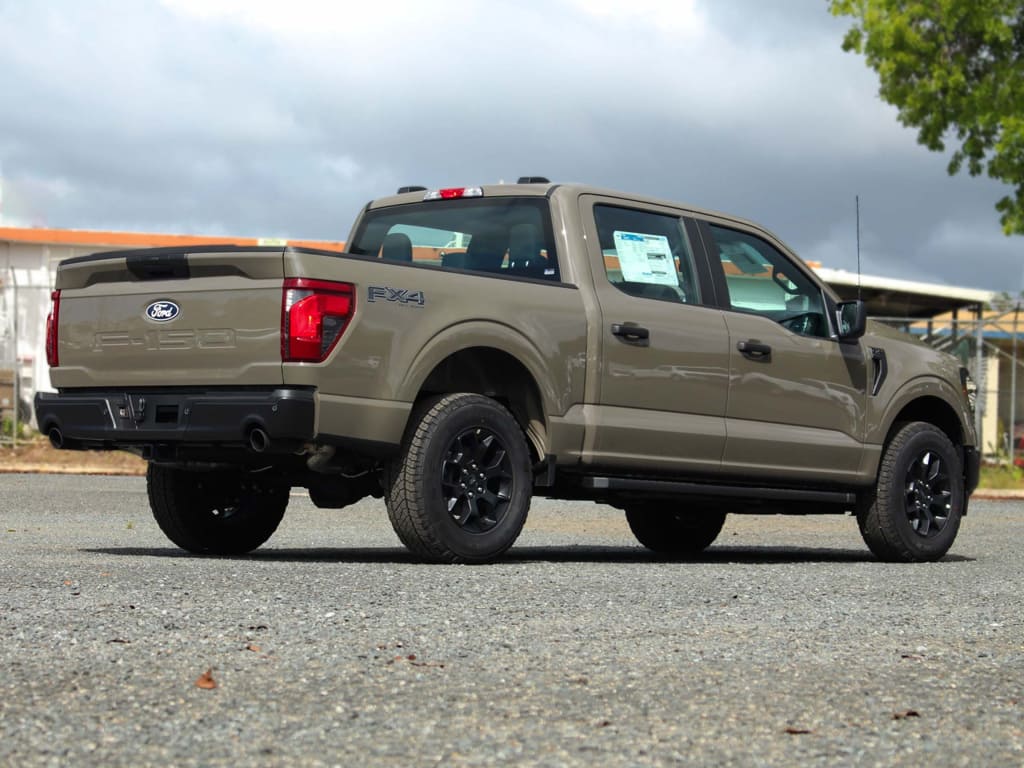 2025 Ford F-150 STX - Photo 4